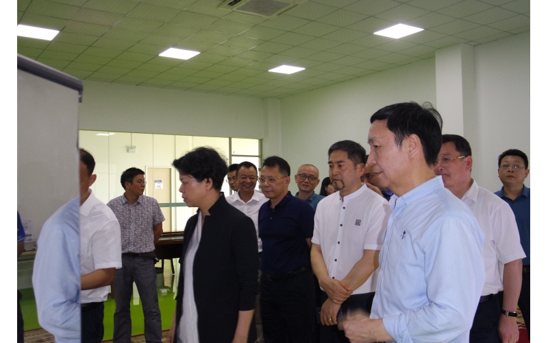 Mayor Zhang Yingchun visited our company for investigation